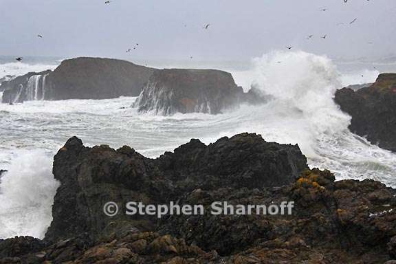 storm surge 1 graphic